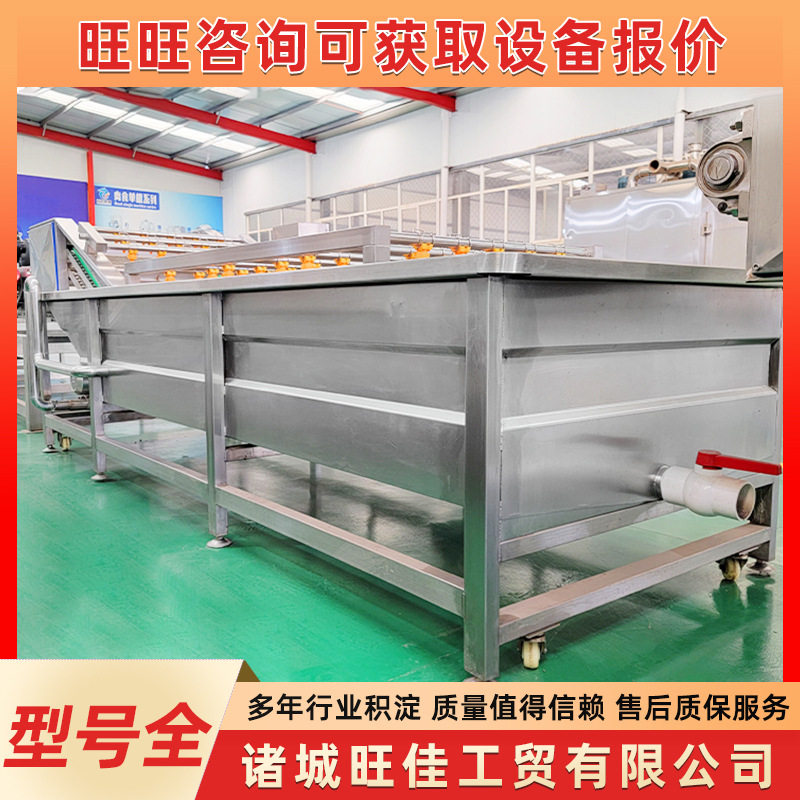 全自动多功能气泡喷淋果蔬清洗机
