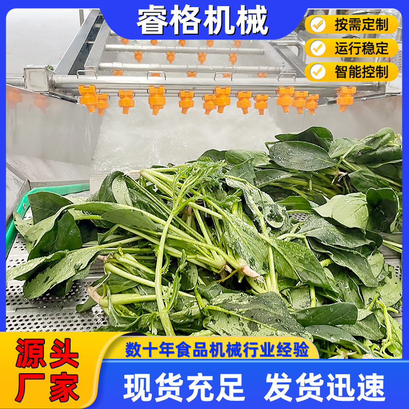 莴笋气泡喷淋洗菜机喷淋式草莓辣椒流水线全自动果蔬清洗机