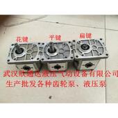 高压齿轮泵油泵CBN E314平键