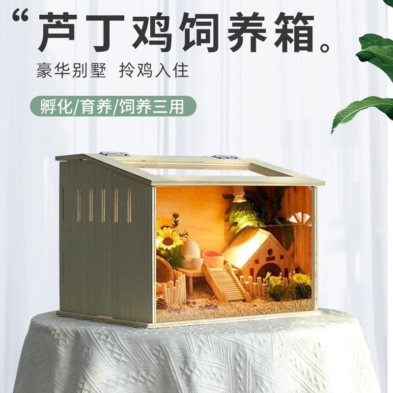 芦丁鸡宠物仓鼠饲养箱笼子大别墅小屋造景观保温杨木多层板专用箱