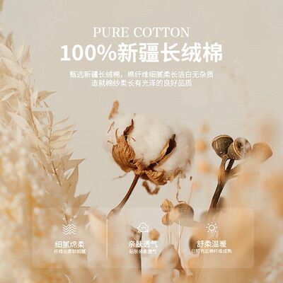 A类全棉加厚磨毛床笠单件秋冬季保暖纯棉床罩2024新款床垫保护罩