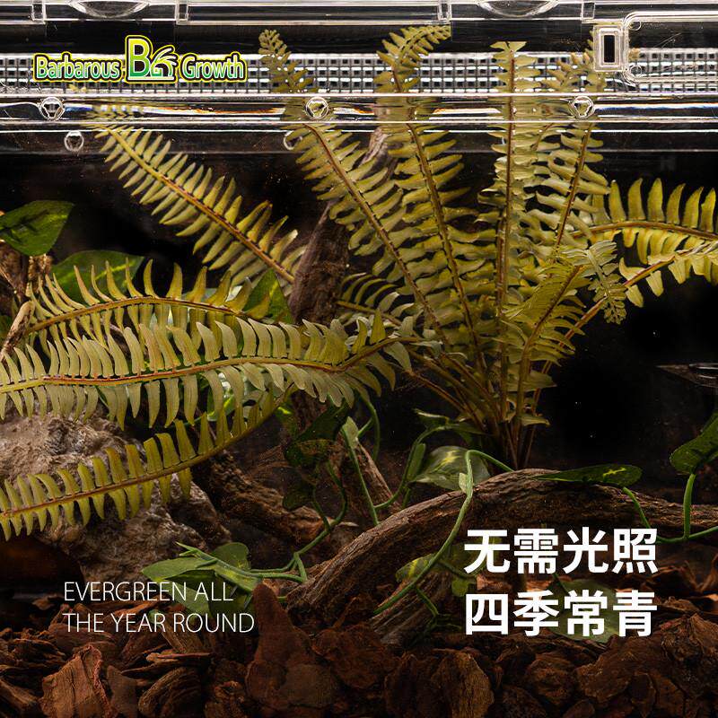 宠维奥爬宠饲养箱造景仿真植物热带沙漠生态雨林装饰鱼缸绿植