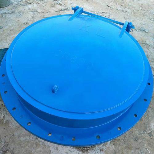 碳钢圆形拍门防倒灌自动开启碳钢拍门管道止回阀门玻璃钢拍门