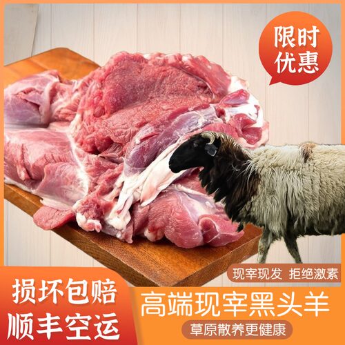 正宗新疆巴音布鲁克黑头羊新疆直发现宰现发鲜羊肉羊腿羊排空运