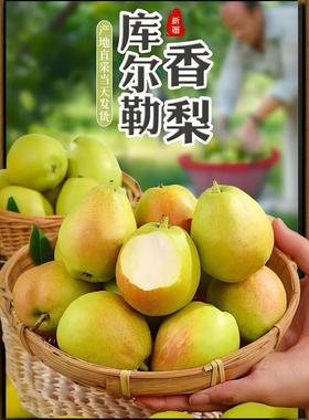 正宗库尔勒香梨新疆直发新鲜水果甜不催熟孕妇儿童老人原产地包邮