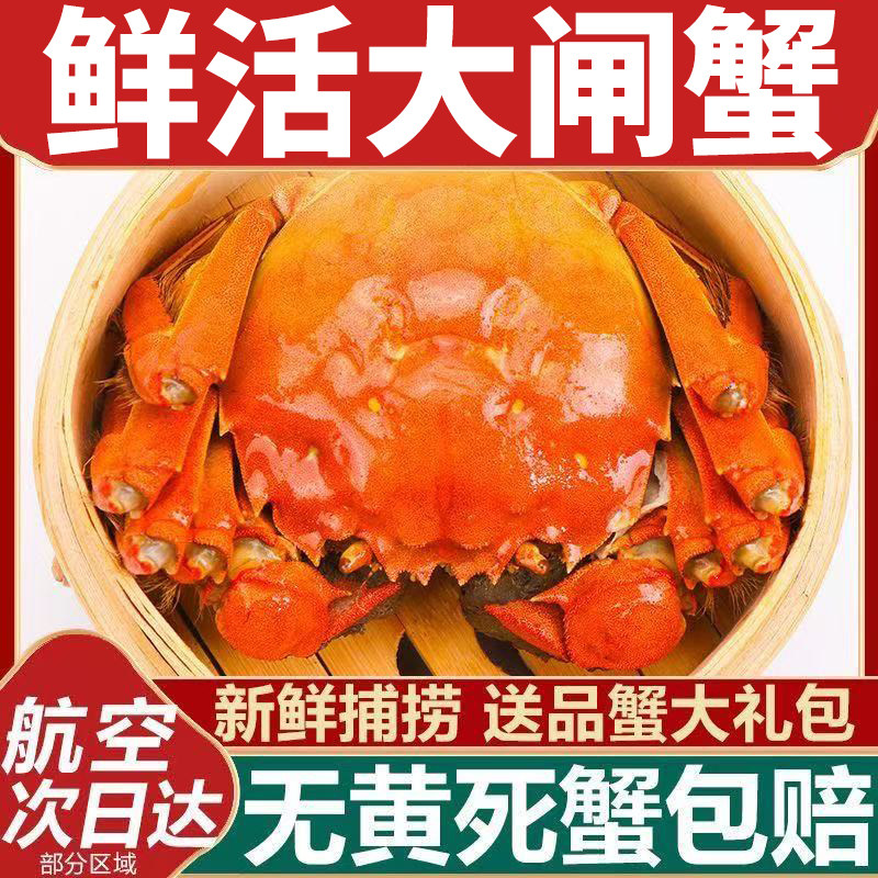 活蟹现货大闸蟹鲜活超大公母配螃蟹高淳固城湖新鲜水产8只礼盒装