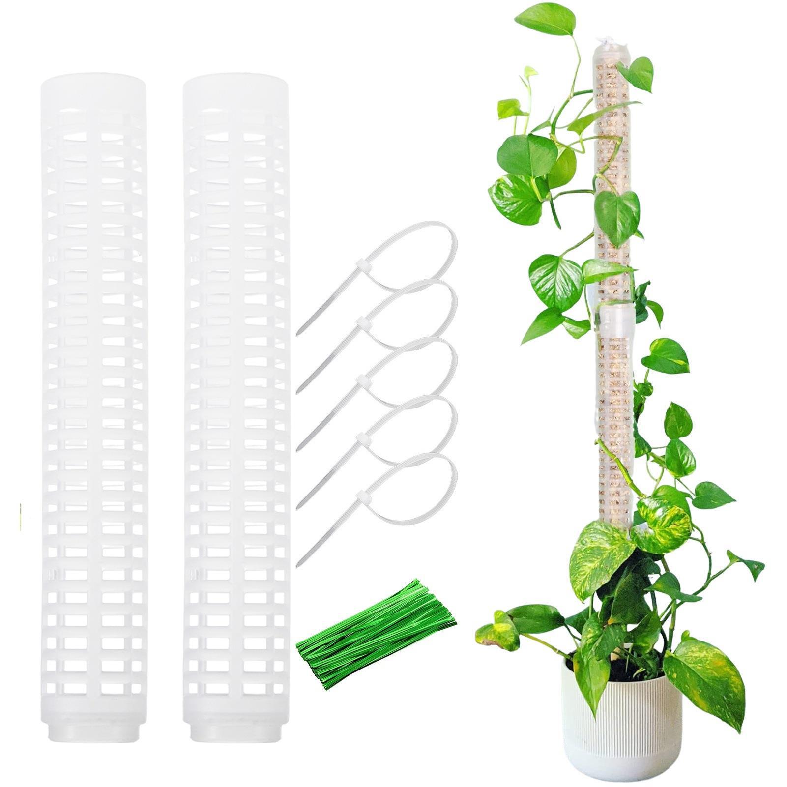 2装植物攀爬柱龟背竹柱支架