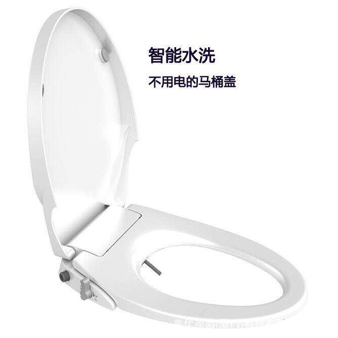 智能马桶盖不用电洁身器卫浴洗屁股神器坐便冲洗器家用妇洗器