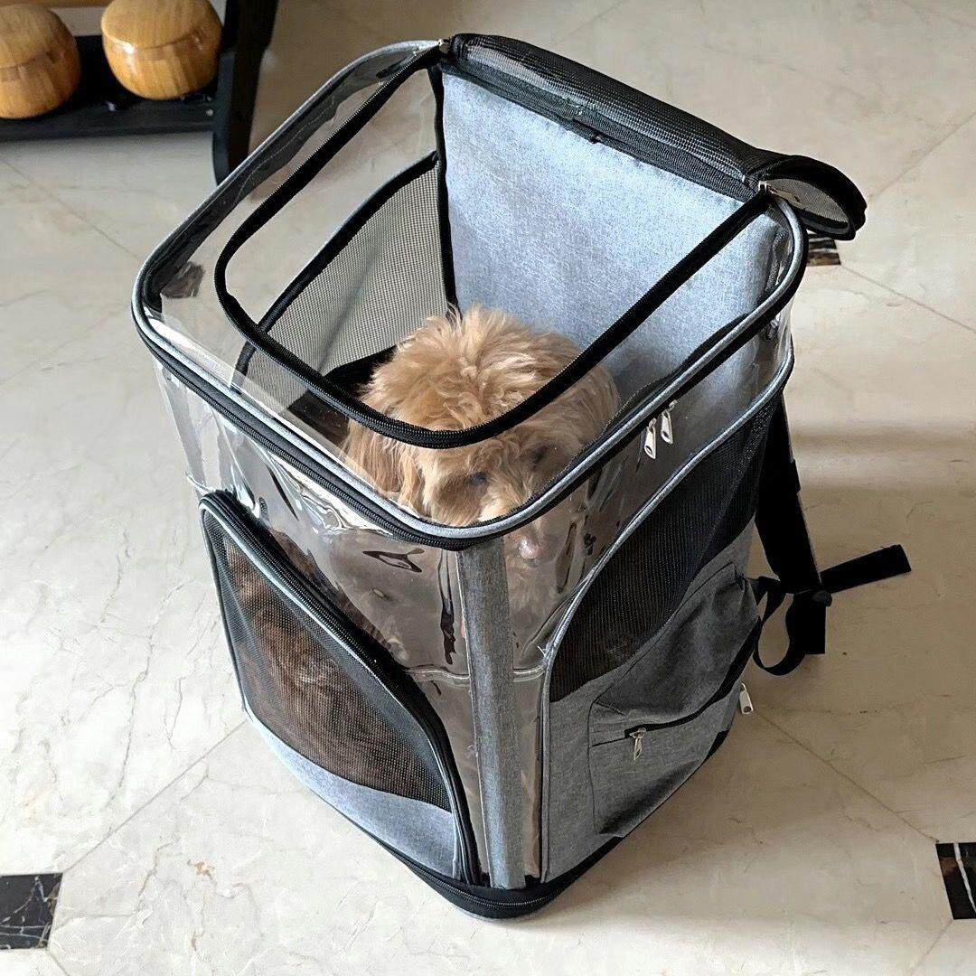 缅因猫宠物外出便携包透