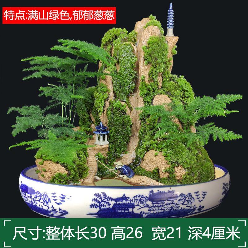 流水版假山盆景天然植物