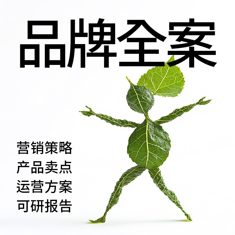 策划ppt方案服务策划咨询服务PPT设计