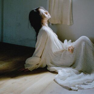 新中式复古简约高级感冷淡风连衣裙V领长袖系收腰