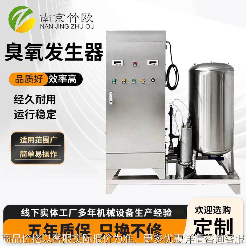 小型可移动式臭氧发生器 空气源氧气源臭氧机水处理工业臭氧设备