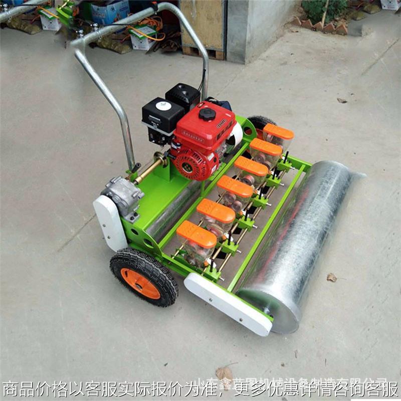 汽油手推蔬菜精播机小颗粒种子稻谷播种机药材种子精量点播机