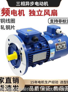 YVP/YVF2变频调速三相异步电动机0.37/0.75/1.5/2.2/3KW380V电机