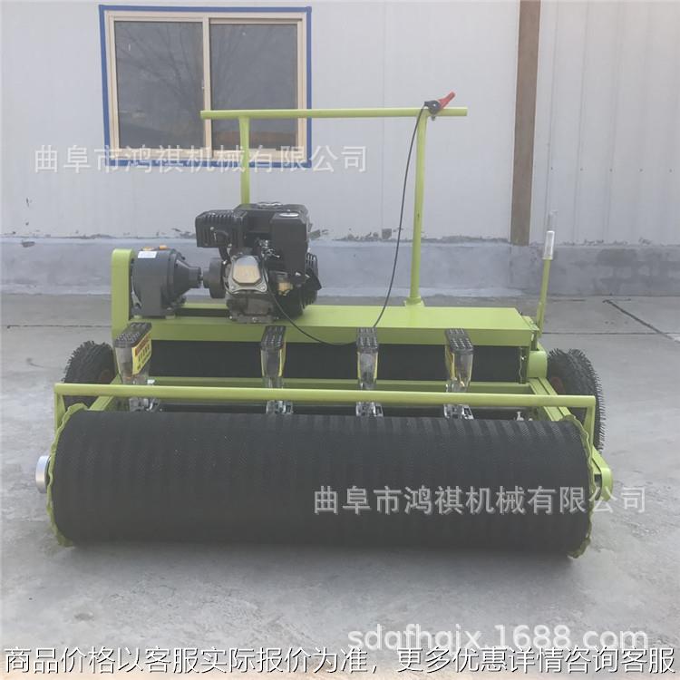 双流县小粒种子播种机 机械新型白菜播种机 谷子免间苗播种机