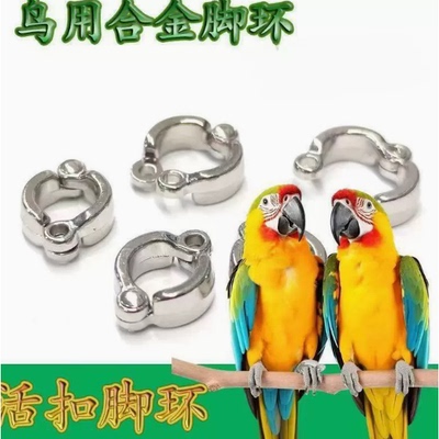 鹦鹉放飞绳外出溜鸟绳小鸟玄凤虎皮超轻脚环脚链鸟用品