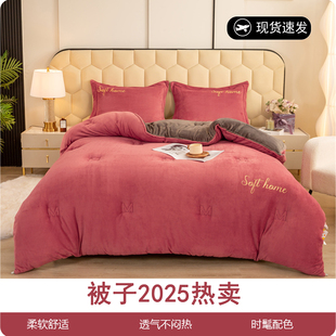 被子2025热卖牛奶绒被芯加厚保暖毛绒冬被棉被羊羔绒冬天10斤被褥
