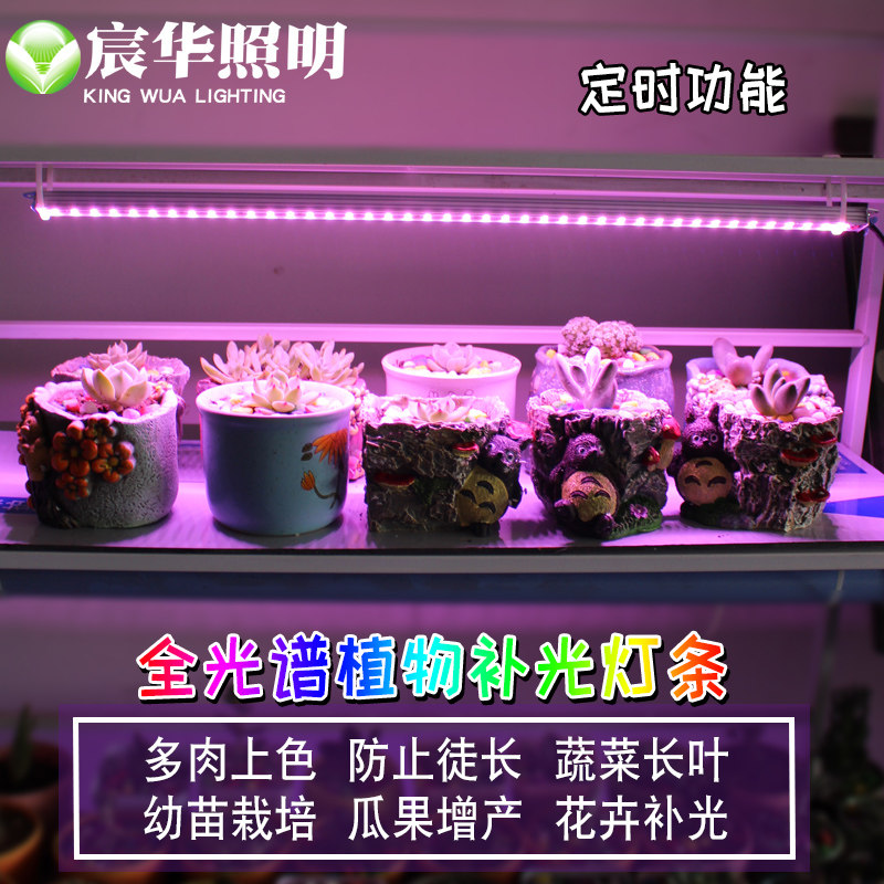 LED植物生长灯全光谱蔬菜育苗食虫草多肉上色植物补光低电压12V