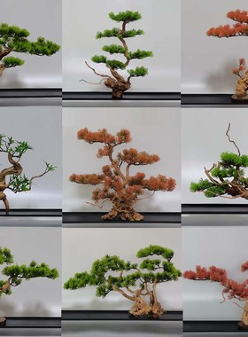 创意家居客栈酒店餐厅茶室造微景观盆景摆设树根枯木仿真植物松树