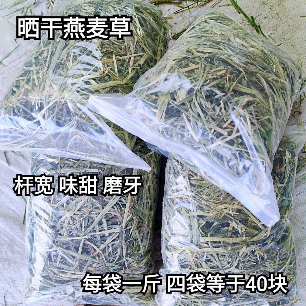 [4斤4袋]22年燕麦干草兔子荷兰猪龙猫牧草饲料磨牙草包邮