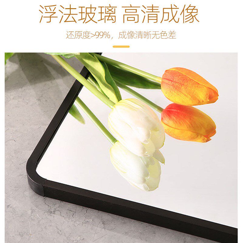 家用练舞蹈室专用镜子全身镜家庭瑜伽健身客厅落地穿衣挂墙可移动
