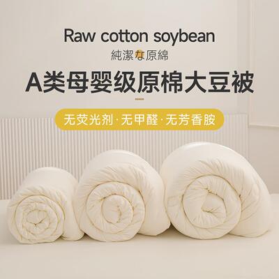 A类大豆纤维被子被芯二合一子母被全棉空调春秋恒温双人冬被12斤8