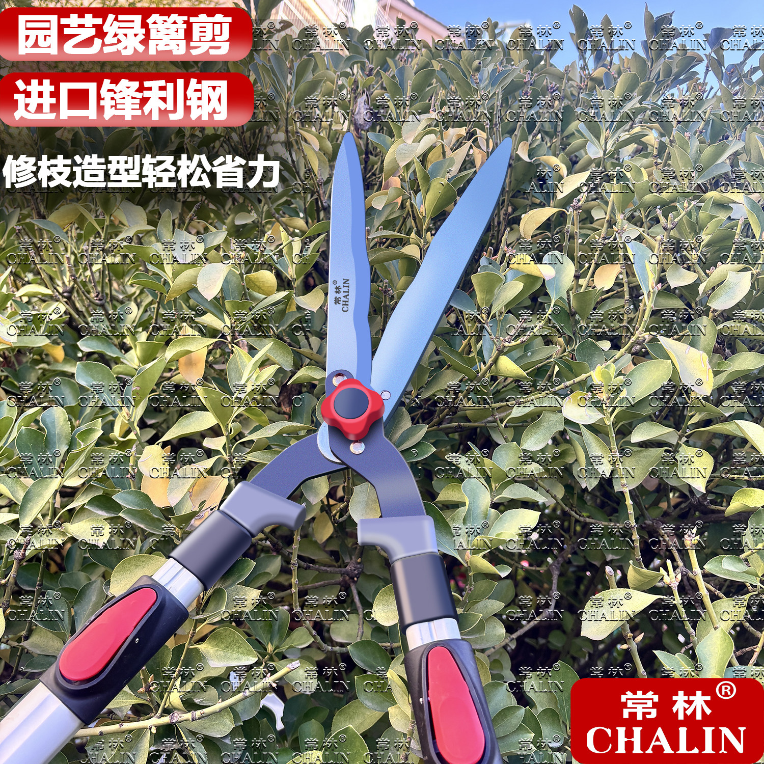 常林进口钢园艺剪造型