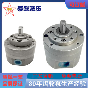 25颗粒机减速机油泵NGWB B16 SXCB B10 16双向齿轮泵SXCB