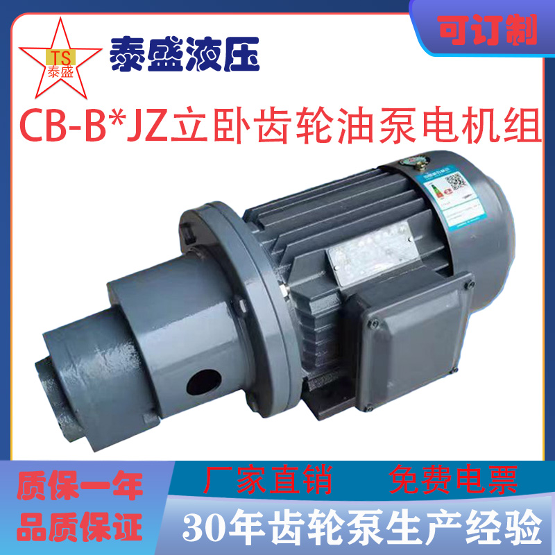送票CB-B耐磨高温电动齿轮油泵