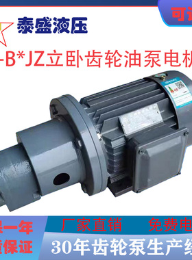 CB-B25JZ CB-B16JZ齿轮油泵电机组CB-B32/B40/B80JZ电动自吸LWBZ
