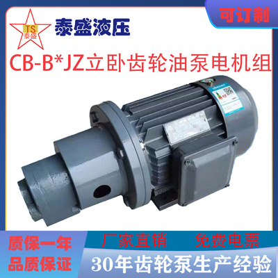 送票CB-B耐磨高温电动齿轮油泵