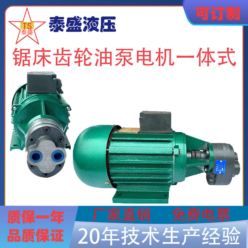 锯床油泵电机CB-B4/6/10JZ龙达YS7124/7134/8024金华正方370/550W,标准件/零部件/工业耗材,液压泵,淘宝优惠券,粉丝福利购,淘宝优惠卷