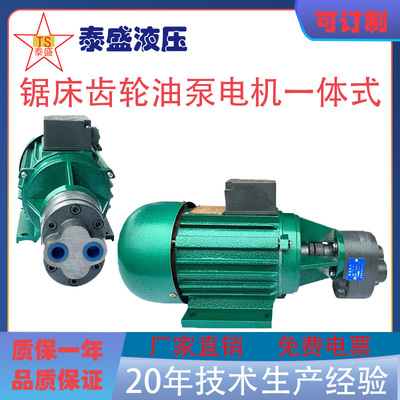 金华正方/龙达锯床油泵电机CB-B