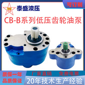 B80 B40 B32 B63 B16 100 B125F齿轮油泵RW B50 B25 B10
