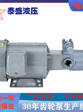 日本NOP台湾维良同款TOP摆线齿轮泵TOP-2MY400-216HBMVB油泵马达