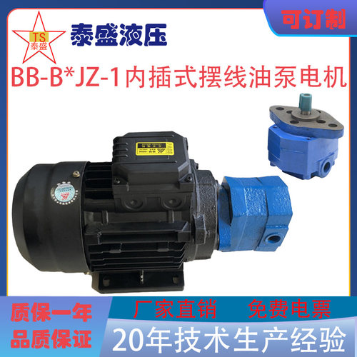 BB-B10JZ-1摆线齿轮油泵电机东高