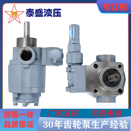 厂家直销 摆线齿轮泵TOP-210/212/216HBM-VB油泵冷镦机润滑油泵
