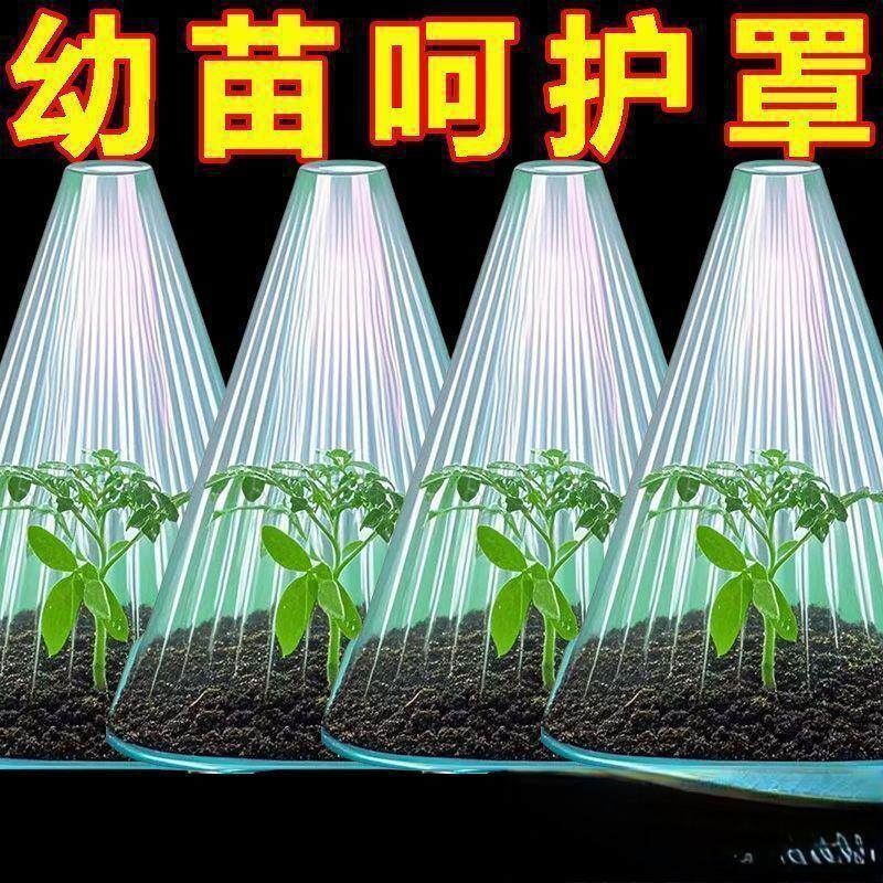 加厚可重复用方形育苗防鸟抗冻罩
