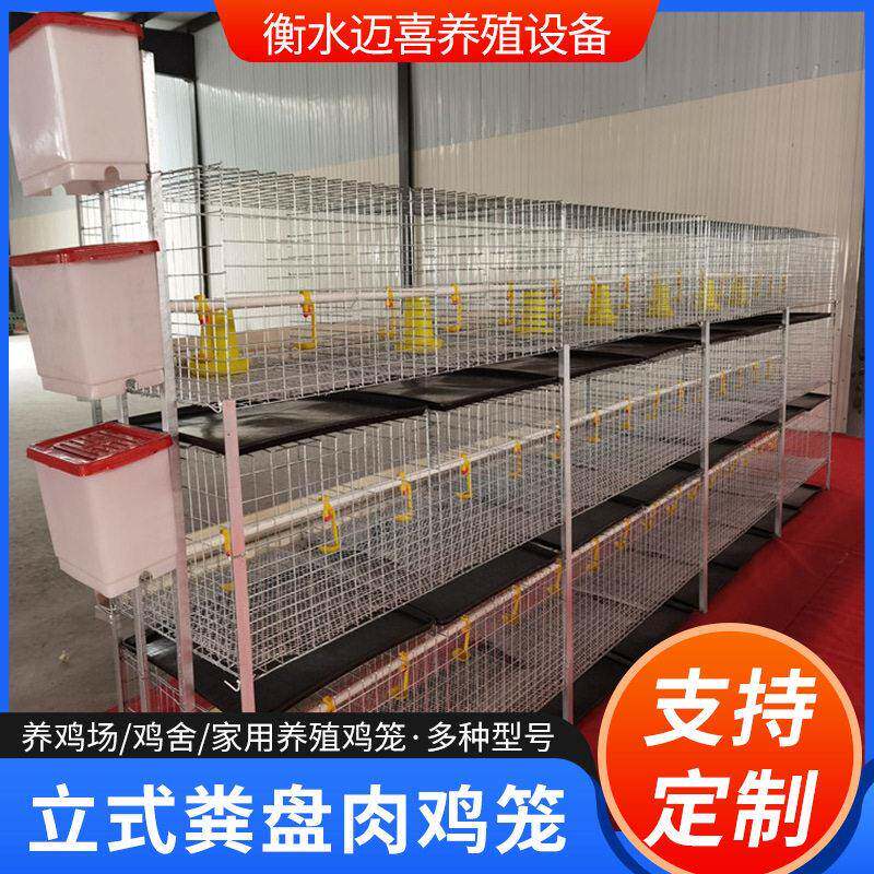 加厚热镀锌粪盘肉鸡笼加密加粗肉鸡饲养笼带接粪盘养鸡笼现货