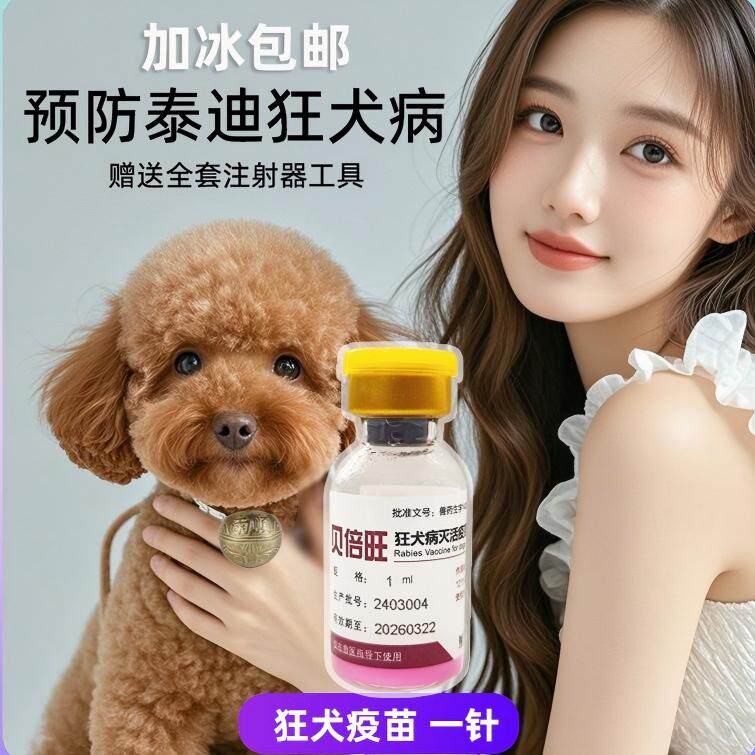 泰迪狂犬疫苗狗用自打泰迪幼犬疫苗一套自打专用狂犬疫苗套餐针