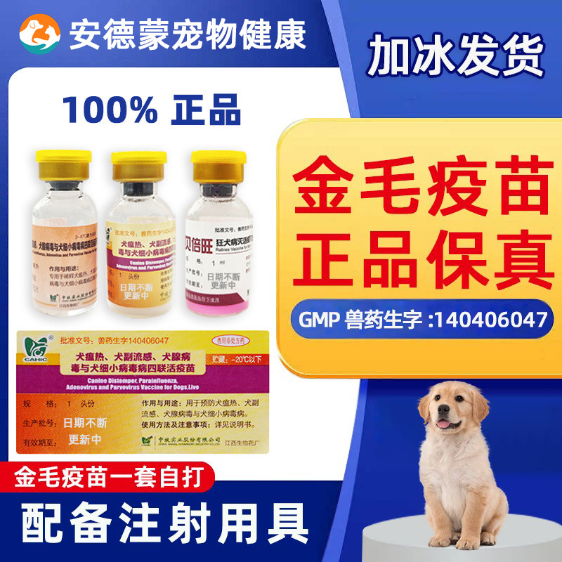 金毛疫苗一套自打金毛幼犬疫苗狂犬四联金毛疫苗针全套套餐针中牧