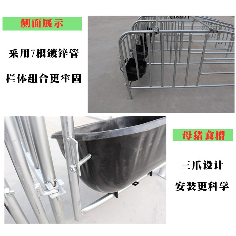 母猪位定位栏单体栏猪用限位栏十个猪位带食槽限位栏养猪设备器械
