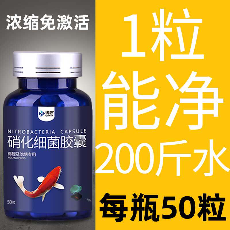 鱼缸净水片净化水质清澈澄清剂水立清除臭去腥锦鲤鱼池em硝化细菌