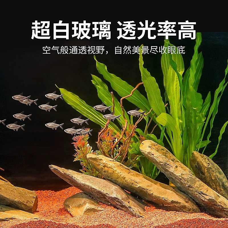 超白背滤鱼缸造景小型客厅生态桌面水草缸2026新款过滤制氧一体式