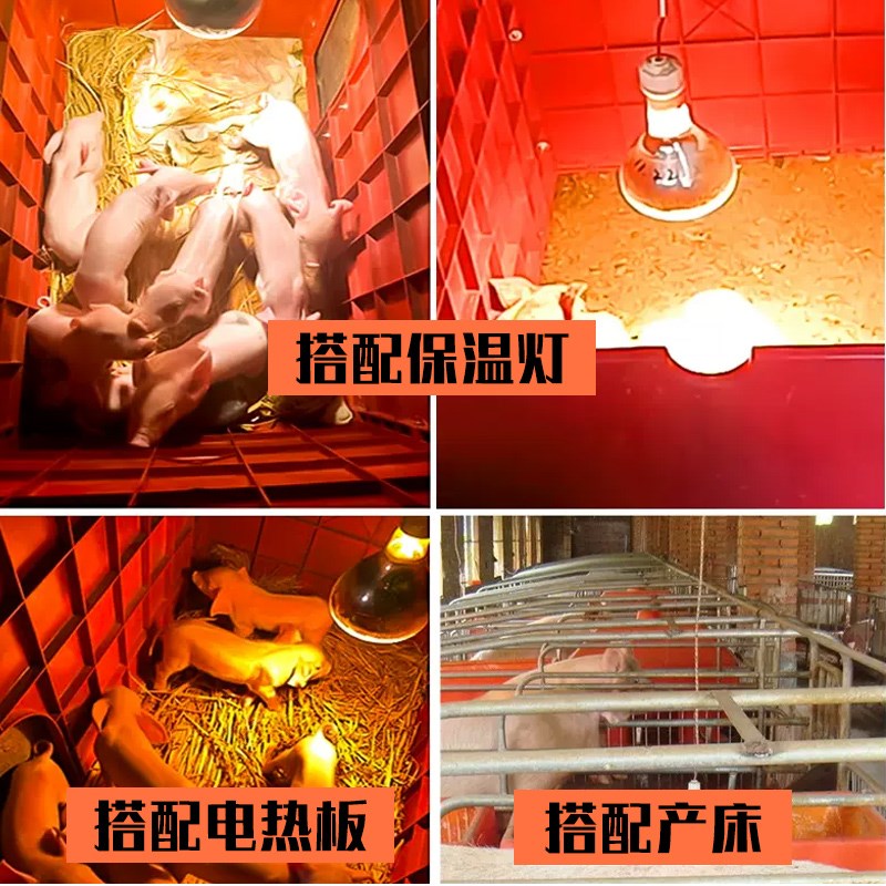 猪用保温箱猪仔保暖箱加厚小猪母猪产床保育床取暖箱猪用养猪设备
