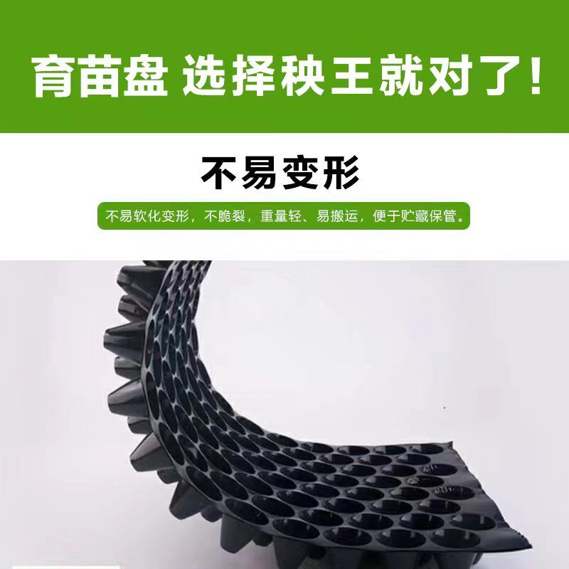 加厚防晒耐用圆孔育苗盘穴盘育苗盒育苗喷玉米蔬菜瓜果育苗辣椒