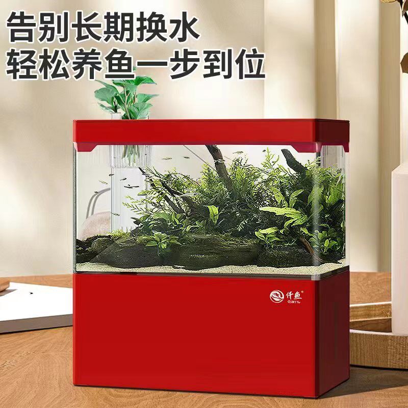 客厅小型生态鱼缸桌面一体式免换水迷你斗鱼家用水族箱儿童金鱼缸