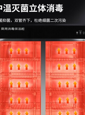 免沥水消毒柜商用立式双门不锈钢大容量碗筷消毒柜家用饭店保洁柜