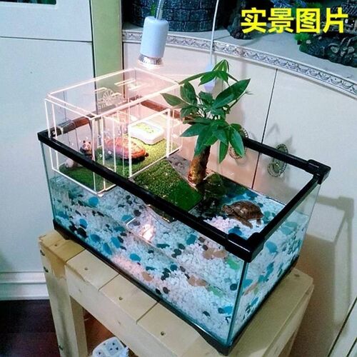 乌龟晒台爬台挂钩亚克力深水龟晒台龟缸浮岛水族箱晒背台爬坡暖房